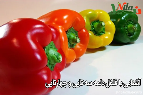 آشنایی با فلفل دلمه سه تایی و چهارتایی