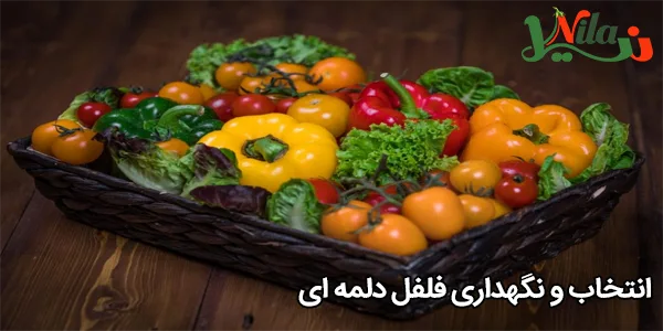 انتخاب و نگهداری فلفل دلمه‌ ای