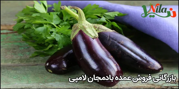 بازرگانی فروش عمده بادمجان لامپی