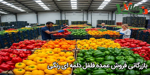 بازرگانی فروش عمده فلفل دلمه‌ ای رنگی