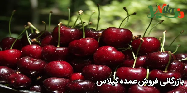 بازرگانی فروش عمده گیلاس