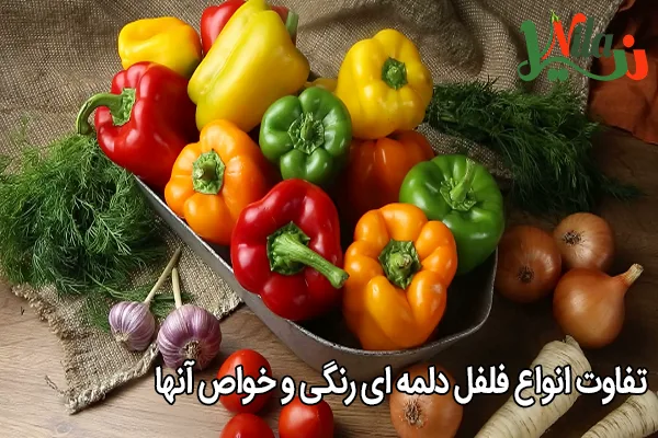 تفاوت انواع فلفل دلمه ای رنگی و خواص آنها