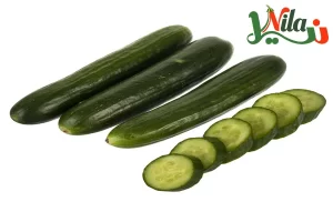 خرید عمده خیار گلخانه ای - قیمت خیار گلخانه ای مرغوب و درجه یک