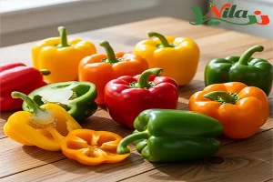 خرید عمده فلفل دلمه ای رنگی-قیمت فلفل دلمه ای مرغوب و درجه یک