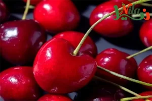 خرید عمده گیلاس - قیمت خرید گیلاس مرغوب و صادراتی