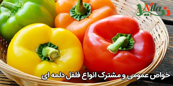 خواص عمومی و مشترک انواع فلفل دلمه‌ ای