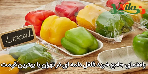 راهنمای جامع خرید فلفل دلمه‌ ای در تهران با بهترین قیمت