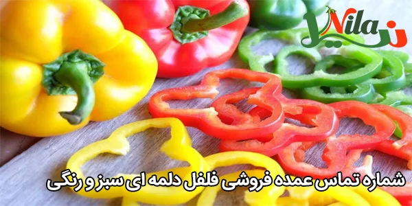 شماره تماس عمده فروشی فلفل دلمه‌ ای سبز و رنگی