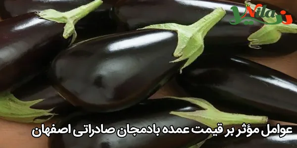 عوامل مؤثر بر قیمت عمده بادمجان صادراتی اصفهان