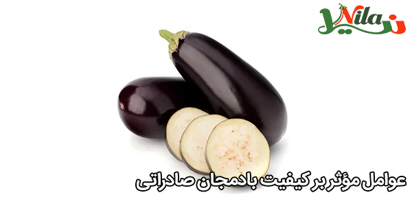 عوامل مؤثر بر کیفیت بادمجان صادراتی
