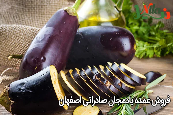 فروش عمده بادمجان صادراتی اصفهان