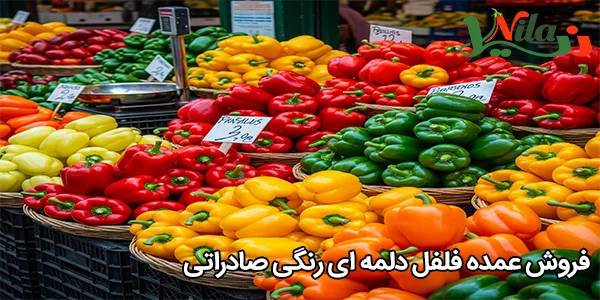 فروش عمده فلفل دلمه‌ ای رنگی صادراتی