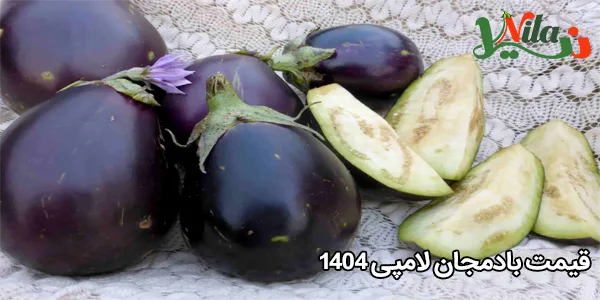 قیمت بادمجان لامپی 1404