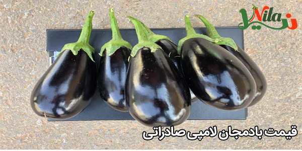 قیمت بادمجان لامپی صادراتی
