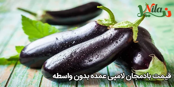قیمت بادمجان لامپی عمده بدون واسطه
