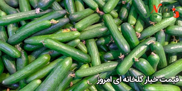قیمت خیار گلخانه‌ ای امروز