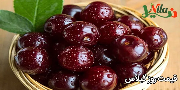 قیمت روز گیلاس