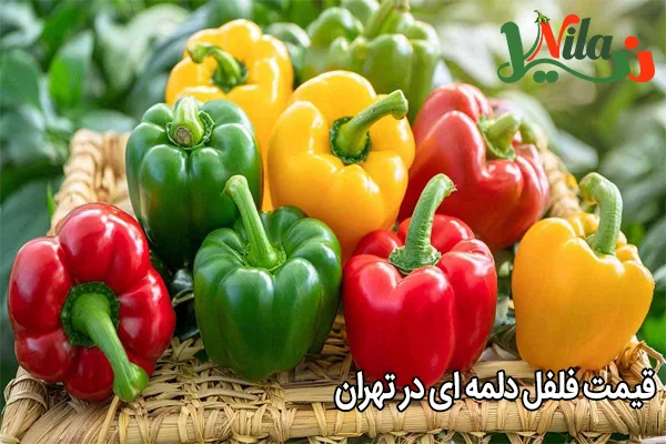 قیمت فلفل دلمه ای در تهران
