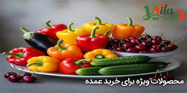 محصولات ویژه برای خرید عمده