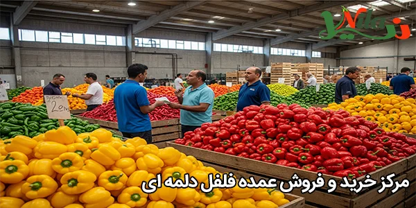 مرکز خرید و فروش عمده فلفل دلمه‌ ای