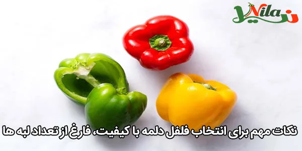 نکات مهم برای انتخاب فلفل دلمه با کیفیت، فارغ از تعداد لبه‌ ها