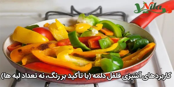 کاربردهای آشپزی فلفل دلمه (با تأکید بر رنگ، نه تعداد لبه‌ ها)
