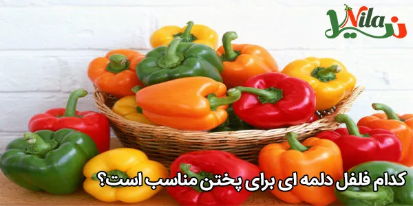 کدام فلفل دلمه‌ ای برای پختن مناسب است؟