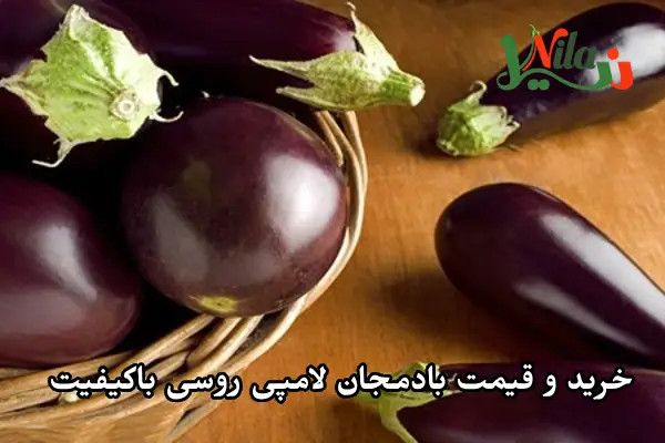 خرید و قیمت بادمجان لامپی روسی باکیفیت