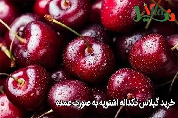 خرید گیلاس تکدانه اشنویه به صورت عمده