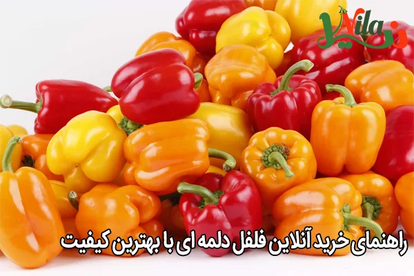 راهنمای خرید آنلاین فلفل دلمه ای با بهترین کیفیت