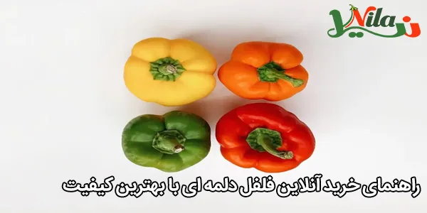 راهنمای خرید آنلاین فلفل دلمه‌ ای با بهترین کیفیت