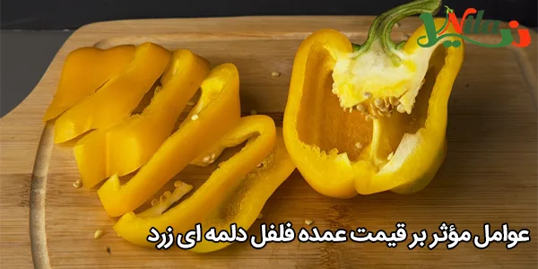عوامل مؤثر بر قیمت عمده فلفل دلمه‌ ای زرد