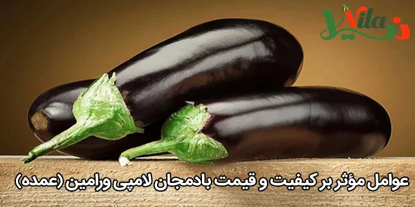 عوامل مؤثر بر کیفیت و قیمت بادمجان لامپی ورامین (عمده)