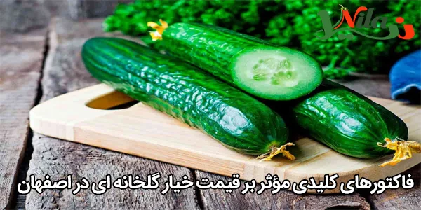 فاکتورهای کلیدی مؤثر بر قیمت خیار گلخانه ای در اصفهان