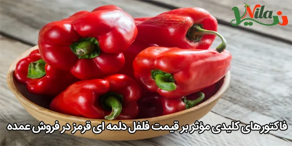 فاکتورهای کلیدی مؤثر بر قیمت فلفل دلمه‌ ای قرمز در فروش عمده