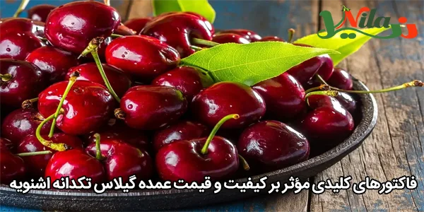 فاکتورهای کلیدی مؤثر بر کیفیت و قیمت عمده گیلاس تکدانه اشنویه