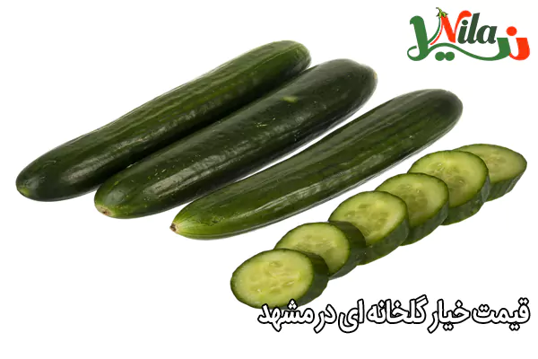 قیمت خیار گلخانه ای در مشهد