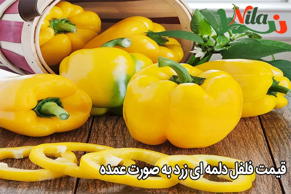 قیمت فلفل دلمه ای زرد به صورت عمده