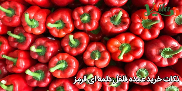 نکات خرید عمده فلفل دلمه‌ ای قرمز