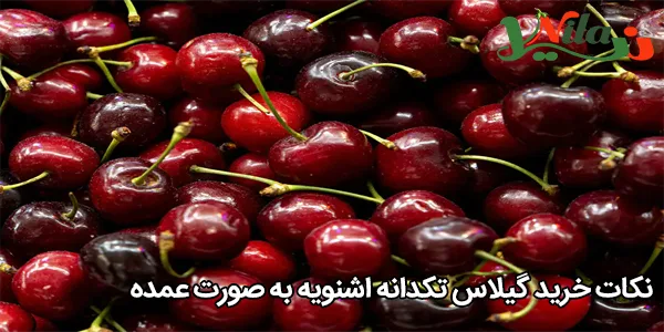 نکات خرید گیلاس تکدانه اشنویه به صورت عمده