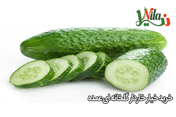 خرید خیار خاردار گلخانه ای عمده