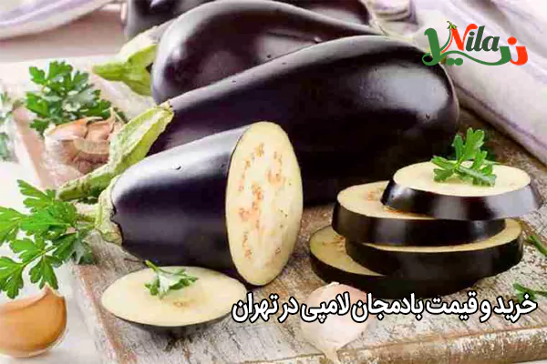 خرید و قیمت بادمجان لامپی در تهران