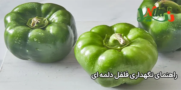 راهنمای نگهداری فلفل دلمه‌ ای