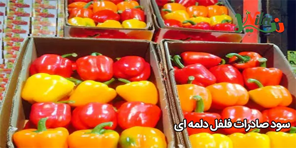 سود صادرات فلفل دلمه ای