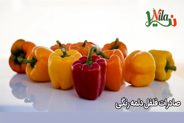 صادرات فلفل دلمه رنگی