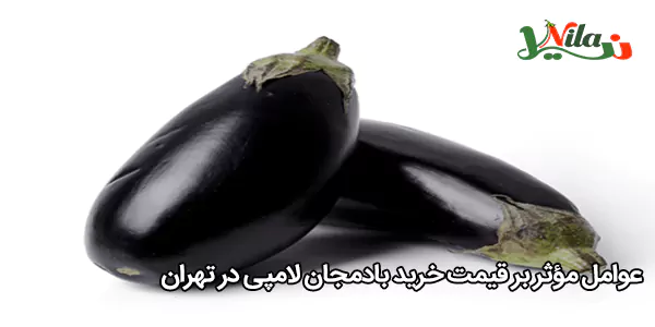 عوامل مؤثر بر قیمت خرید بادمجان لامپی در تهران
