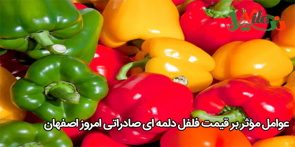 عوامل مؤثر بر قیمت فلفل دلمه‌ ای صادراتی امروز اصفهان