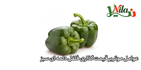 عوامل موثر بر قیمت‌ گذاری فلفل دلمه‌ ای سبز