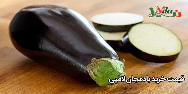 قیمت خرید بادمجان لامپی