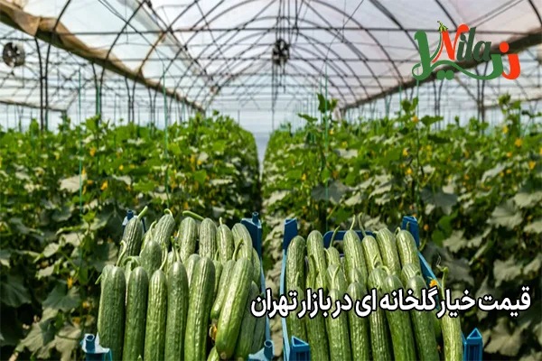 قیمت خیار گلخانه ای در بازار تهران